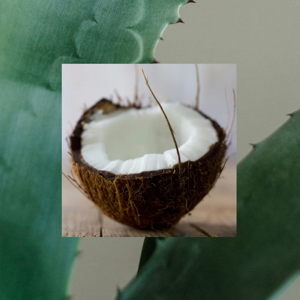 Raw Sugar Men's 2-in-1 Tea Tree + Coconut + Aloe Strengthen Shampoo & Conditioner, 18 fl oz