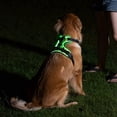 thumbnail image 4 of Arnés Luminoso para Mascotas Arnés Luminoso para Perros Correa de Pecho Ajustable para Mascotas S, 4 of 8