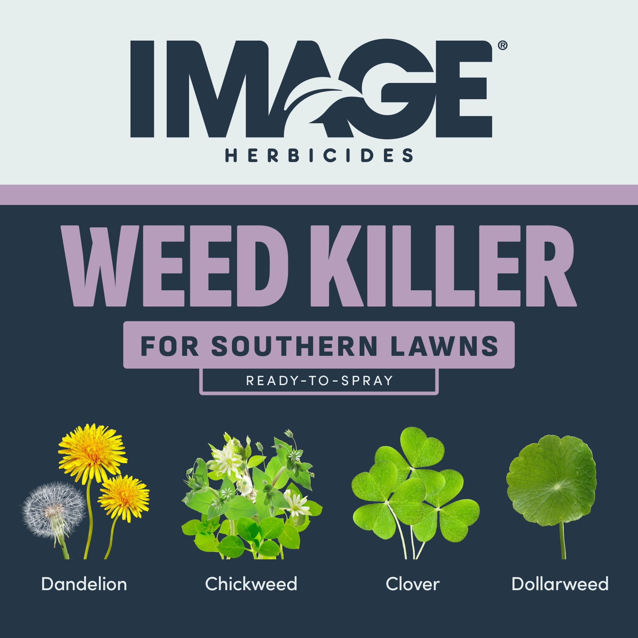 Image Southern Lawn Weed Killer for St. Augustine Grass & Centipede Grass, Herbicide, 32 oz 2.77 lb.