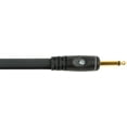 thumbnail image 2 of D'Addario Custom Series Speaker Cable, 10 feet, 2 of 2