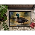 thumbnail image 2 of Carolines Treasures DAC3180JMAT 24 x 36 in.  American Black Duck Doormat, 2 of 6