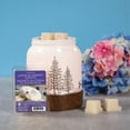 thumbnail image 4 of ScentSationals, Cubes de cire parfumés, Beignes au citron et aux bleuets, 4 of 4