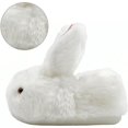 thumbnail image 4 of NOKIO Women Slippers Bunny Plush House Slipper Cute Animal Ca𝗋𝗍oon Slippers Warm Soft Plush Slippers Winter Non-S𝗅ip Indoor Shoes Comfortable Casual Bedroom Slides, 4 of 5