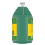 General Hydroponics FloraGro, 1-Gallon