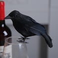 thumbnail image 2 of Black Halloween Crow Decor, Realistic Crow Raven Decoration Indoor Outdoor Decor Fake Ravens Prop Haunted House Graveyard Cemetery Yard Table Party Favors Desk Trees Walls Windows(A), 2 of 6
