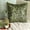 3. Green (Chlorophyll), variant on The HomeCentric Euro Sham, Green European Shams Pack of 2, 26x26 inch (65x65 cm), Linen Euro Pillow Covers, Striped, Modern European Sham Pillow Covers Easter - Misty Green