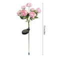 thumbnail image 3 of Twfbrm Solar Flower Lights for Outdoor, 28" Realistic Peony Flowers LED Garden Lights, Waterproof Solar Powered Decorative Stake Lights Auto ON/Off Landscape Lights for Lawn Yard Patio Pathway, 3 of 7