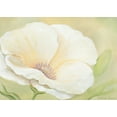 thumbnail image 2 of Boucher, Nathalie 32x24 Black Ornate Wood Framed with Double Matting Museum Art Print Titled - White flower II, 2 of 4