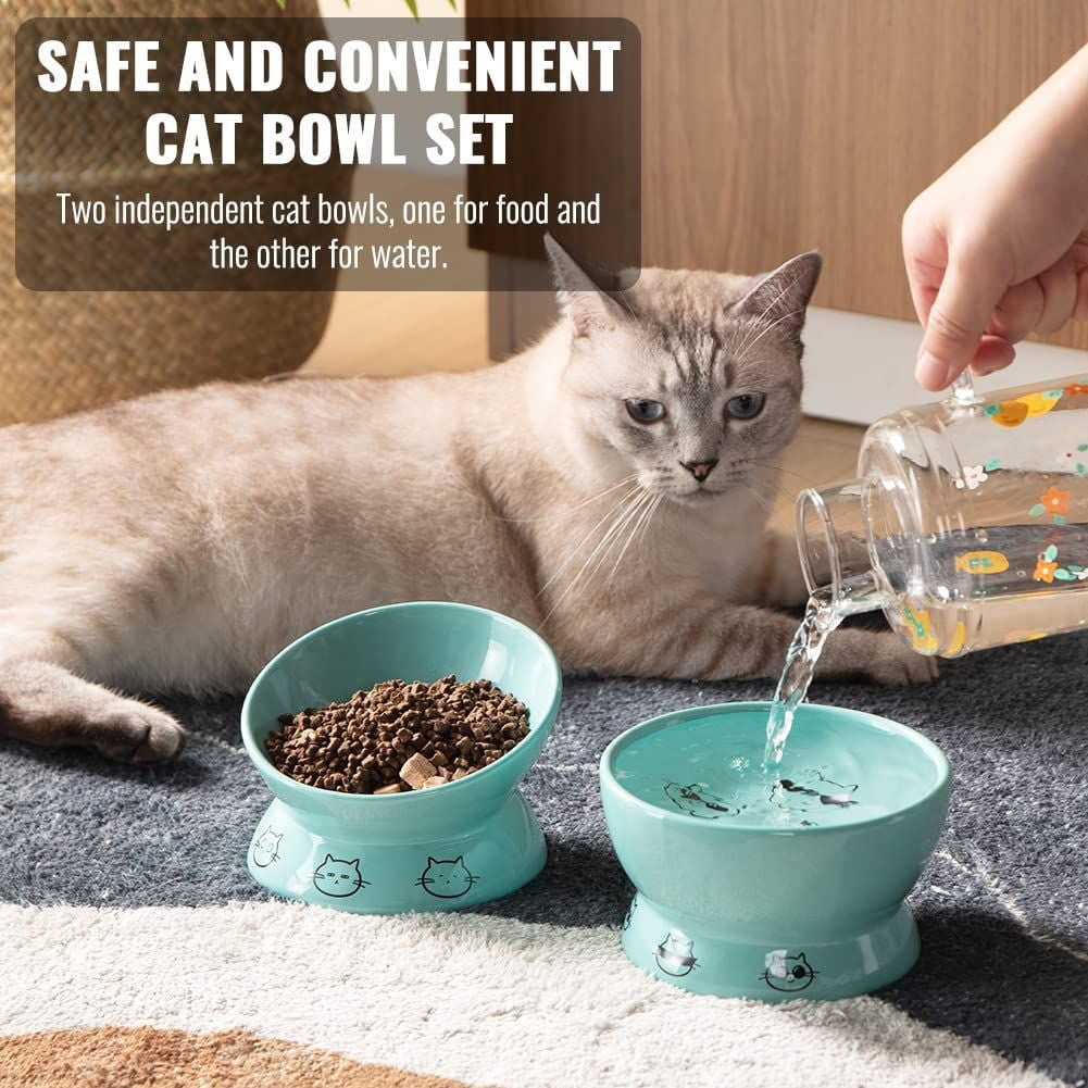 SWEEJAR Raised Cat Bowls Set, Tilted Food Bowl and Deep Water Bowl, Ceramic Pet Bowl Collection for Cats and Small Dogs, Set of 2 (Turquoise)