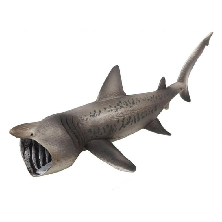 hengtong Basking Sharks Model Marine Figures Toy Marine