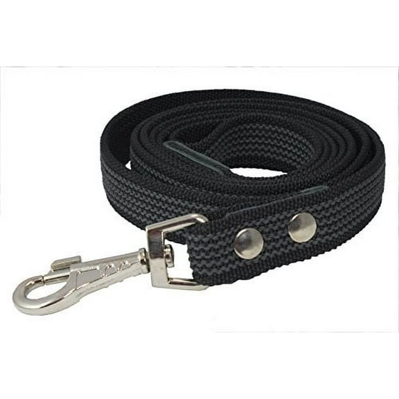 6ft Latex Enforced Dog Leash (Large (1" Wide))