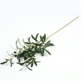 thumbnail image 2 of Travelwant Vivid Anti-fade Cloth Artificial Plant Hexagonal Olive Leaf Branch Imitation Plant Home Decor, 2 of 8