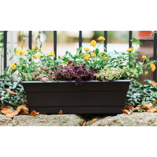 Bloem Dura Cotta Window Box Planter w/Tray 24" Black
