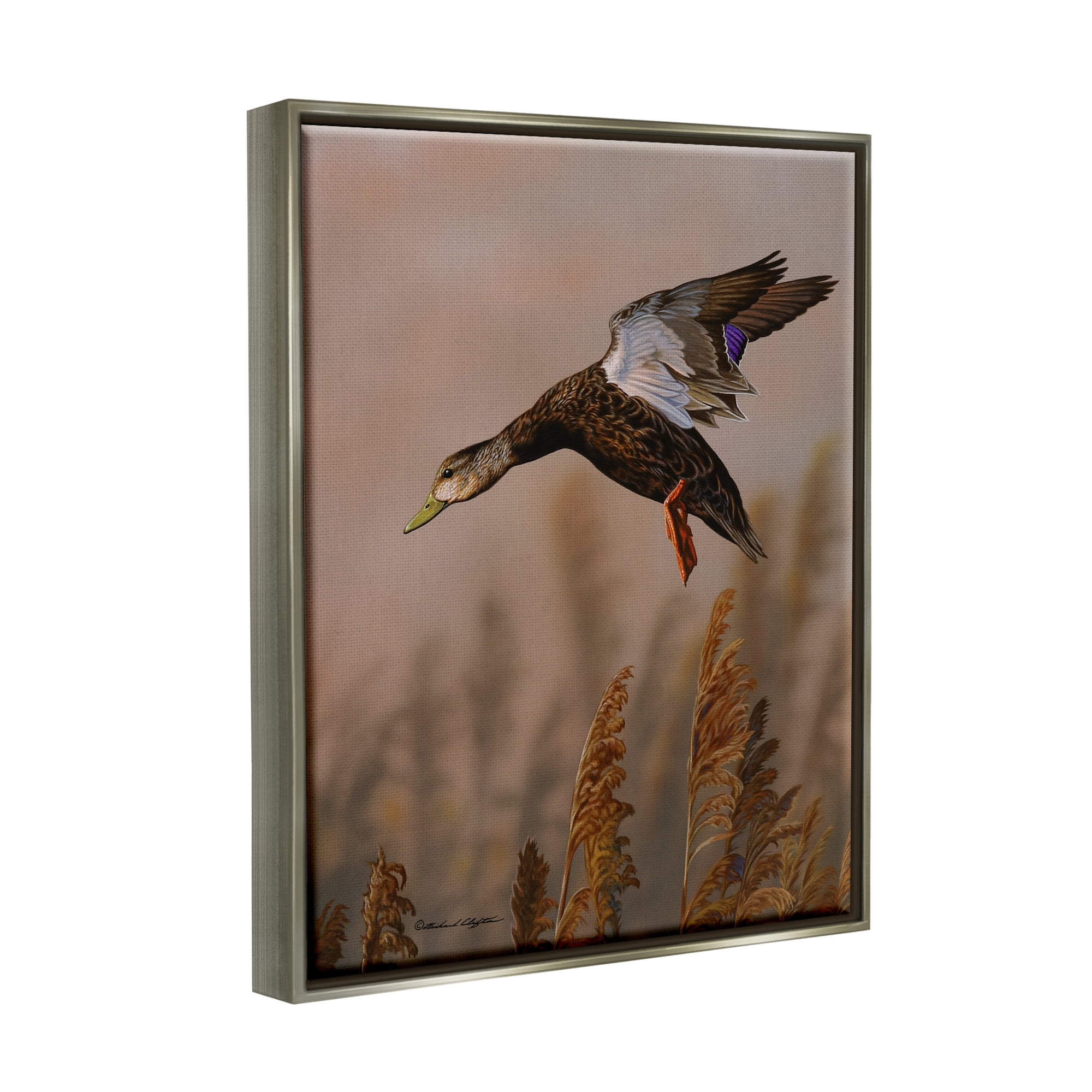 Stupell Industries Duck Flying Photography Animals & Insects Photography Gray Floater Framed Art Print Wall Art, 25 x 31
