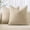 Beige, variant on Lanola Pack of 2 Decorative Throw Pillow Covers Soft Chenille Throw Pillows Solid Neutral Farmhouse Textured Cushion Covers for Couch Sofa Bedroom Living Room 20x20 Inch, Taupe Grey