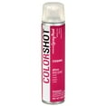 thumbnail image 3 of COLORSHOT Gloss Spray Paint, Cosmo (Dark Pink), 10 oz, Fast-Drying Acrylic Paint, Indoor & Outdoor Use, 3 of 10
