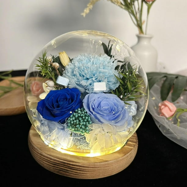 Regalo de flores preservadas Regalos del día de la madre para esposa Regalo único a largo plazo con flores reales ligeras para su novia esposa mamá azul