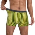 thumbnail image 2 of Salouo Green Bamboo Fence Print Men's Boxer Briefs,Breathable Underwear Elastic Waistband Briefs for Men -Small, 2 of 8