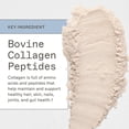 thumbnail image 4 of Amy Myers MD Paleo Protein Powder - Strawberries & Cream, 20 Servings - Collagen-Based Gut Function Support - Gluten-Free & Non-Dairy Protein Supplement, 4 of 7
