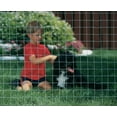 thumbnail image 2 of Keystone Steel & Wire 183227 48 in. x 100 ft. & 2 x 2 ft. Kennal Fence, 2 of 4