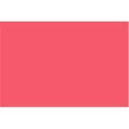 thumbnail image 1 of Bazic 5028 Panneau d'Affichage Rouge Fluorescent 22 Pouces X 28 Pouces Lot de 25, 1 of 1