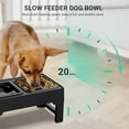 thumbnail image 3 of Els Pet 2 In 1 Elevated Feeding Station(Slow Bowl + Floating Bowl), 3 of 8