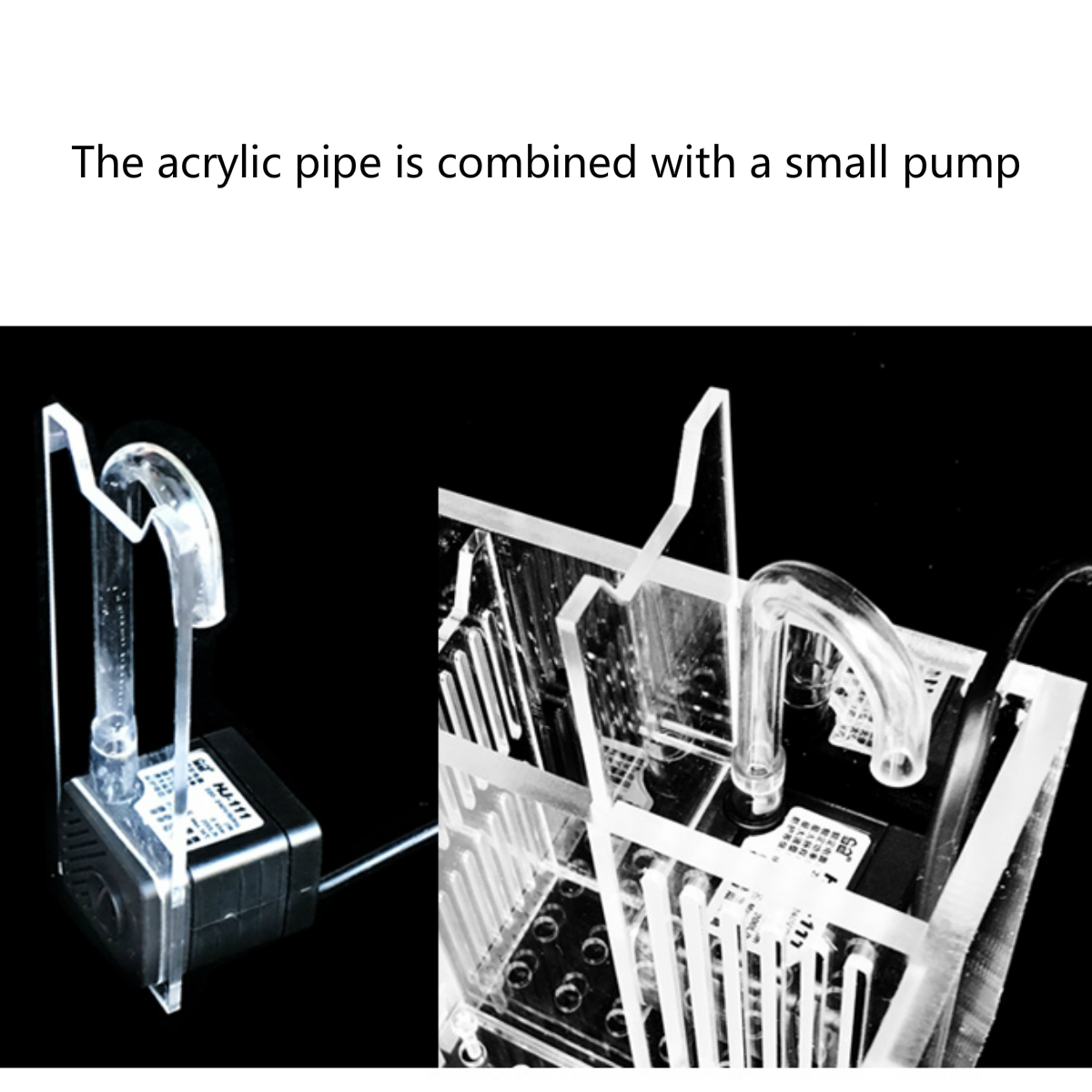 acrylic clear aquarium baby