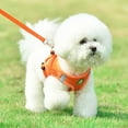 thumbnail image 5 of 2-piece suit Pet Dog Cat Harness + Leash, Adjustable Soft Mesh Comfortable Vest Harnesses, Breathable Night Reflective Strips (for 3.3-6.6 lb), 5 of 9