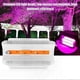 thumbnail image 5 of Full Spectrum COB LED Grow Light for Indoor Plants, 50W 220V Plant Lamp, 5 of 5