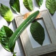 thumbnail image 4 of Phenofice 4Pcs Lifelike Simulation Cucumber Models for Home and Commercial Food Prop Displays, 4 of 6