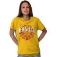 thumbnail image 4 of New Mexico NM Student Campus Pride Men's Graphic T Shirt Tees Brisco Brands S, 4 of 6