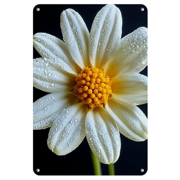 1pc Vintage White Daisy Flower Metal Tin Sign, 8x12 inches Wall Art for Home, Restaurant, Bar, Cafe, Garage Decor - Iron Construction