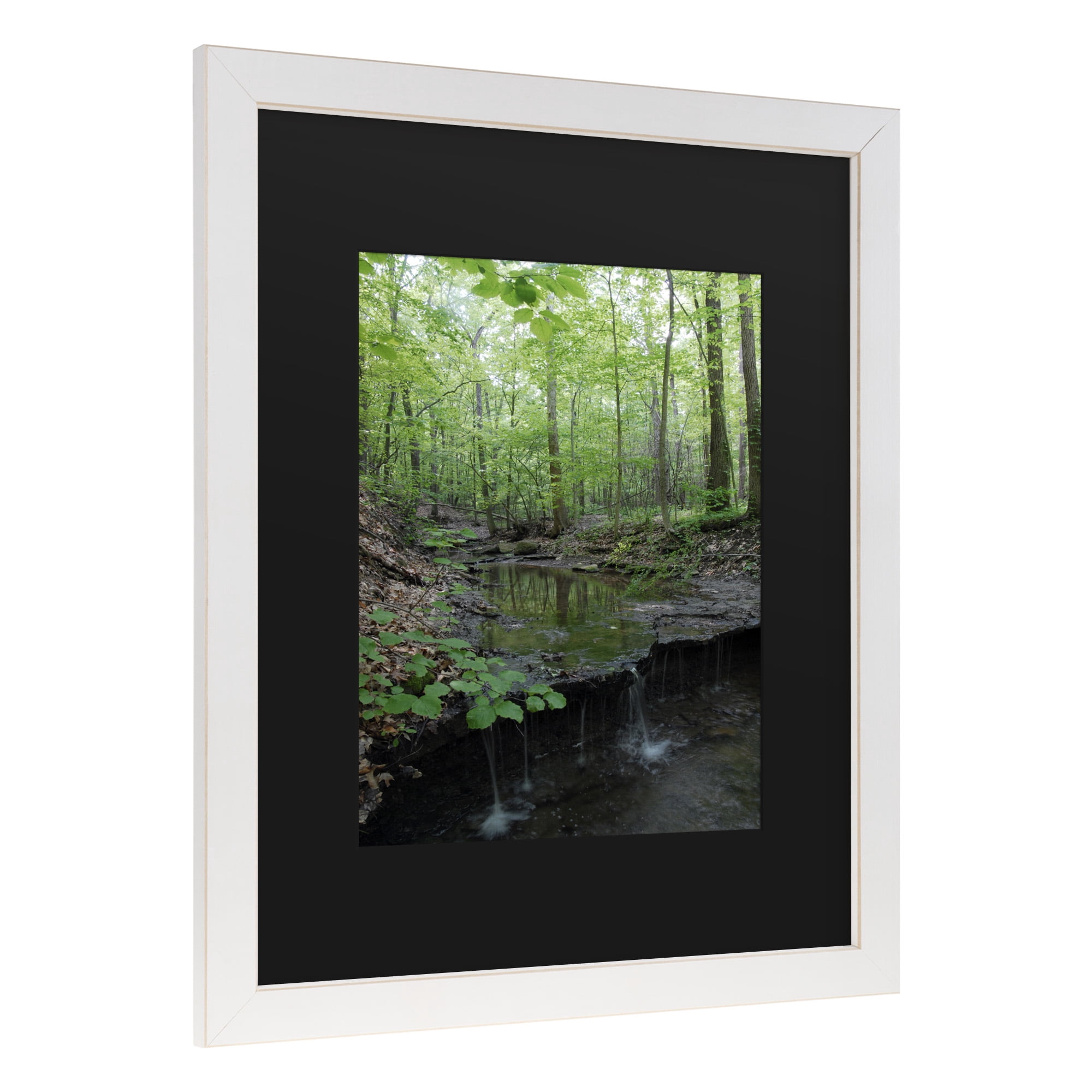 Trademark Fine Art 'Tiny Forest Falls' Canvas Art by Kurt Shaffer