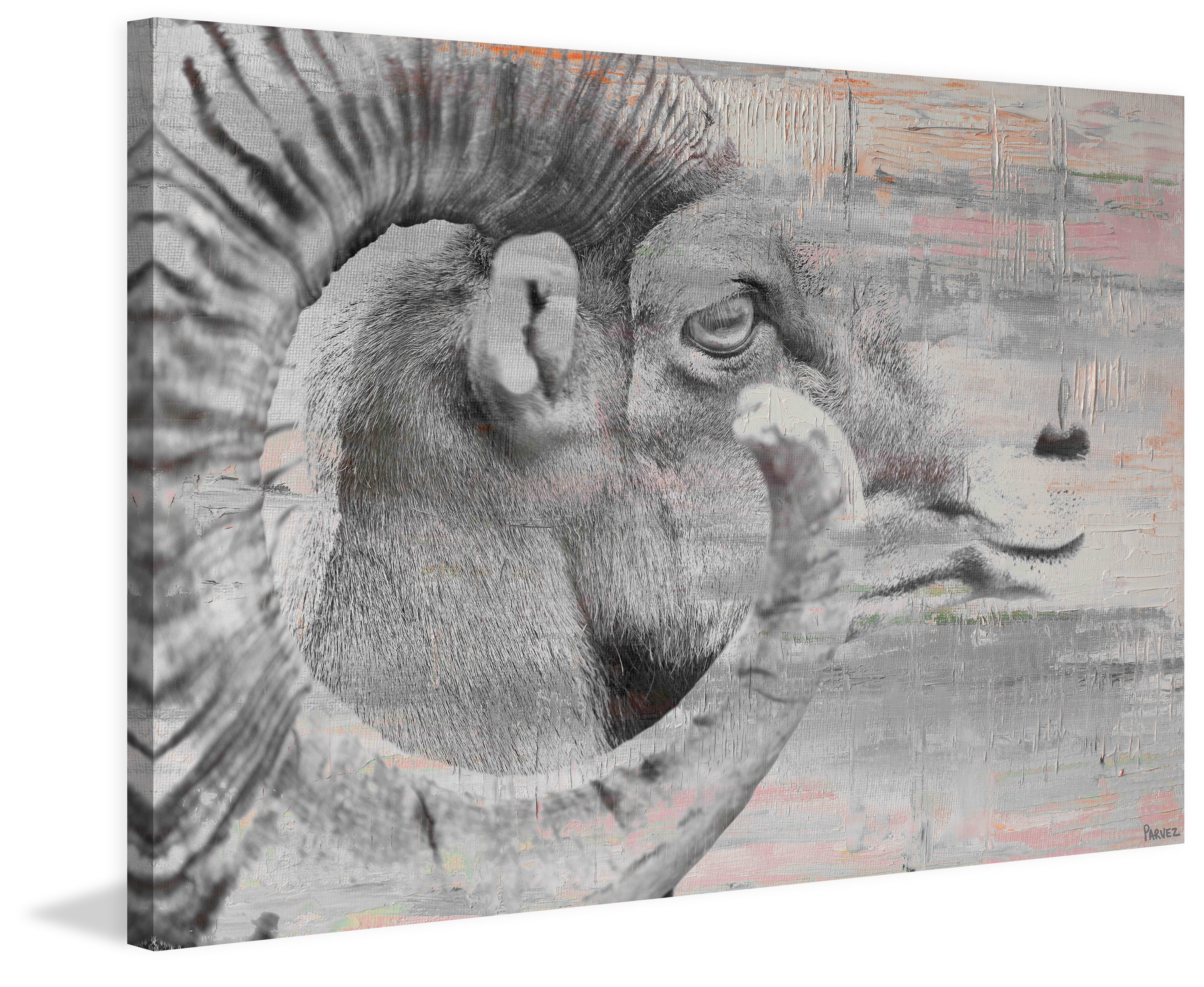 "Eye of Ram" Painting Print on Wrapped Canvas