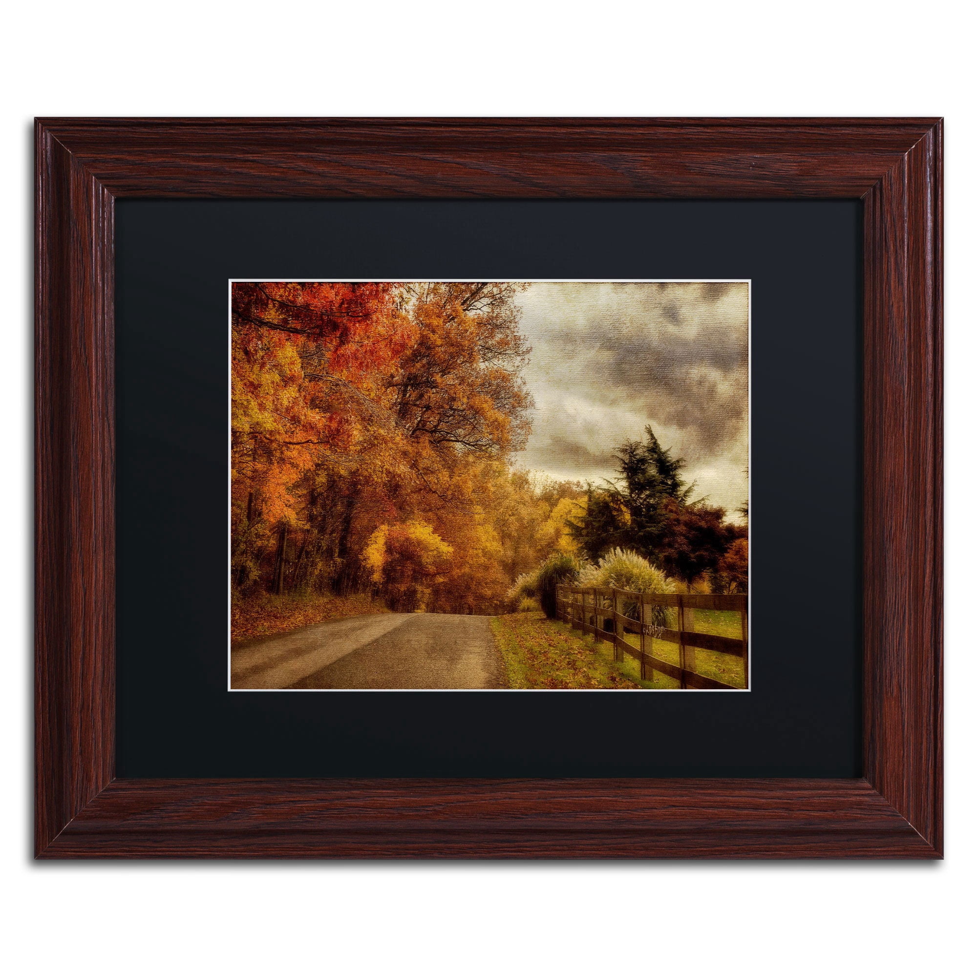 Trademark Fine Art "And the Seasons They Go Round and Round" Canvas Art by Lois Bryan, Black Mat, Wood Frame