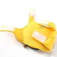 thumbnail image 2 of Pet Harness Leash Set Bee Escape Proof Cat Training Leash Puppy Leash with Bag, 2 of 8