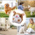 thumbnail image 6 of BESTSKY 2026 New Interactive Dog Toy,Talking Moving Dog Ball,Washable Cartoon Pig Plush Sound Electronic Dog Toy,Shake Bounce Boredom Toy for Dogs,Pets,Cats, 6 of 6