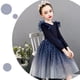 thumbnail image 5 of Vestido de cuello redondo y manga larga para niñas Vestido de cuello redondo y manga larga para niñas Falda de malla elegante Vestido de princesa elegante para niñas pequeñas Vestido de poliéster para, 5 of 8
