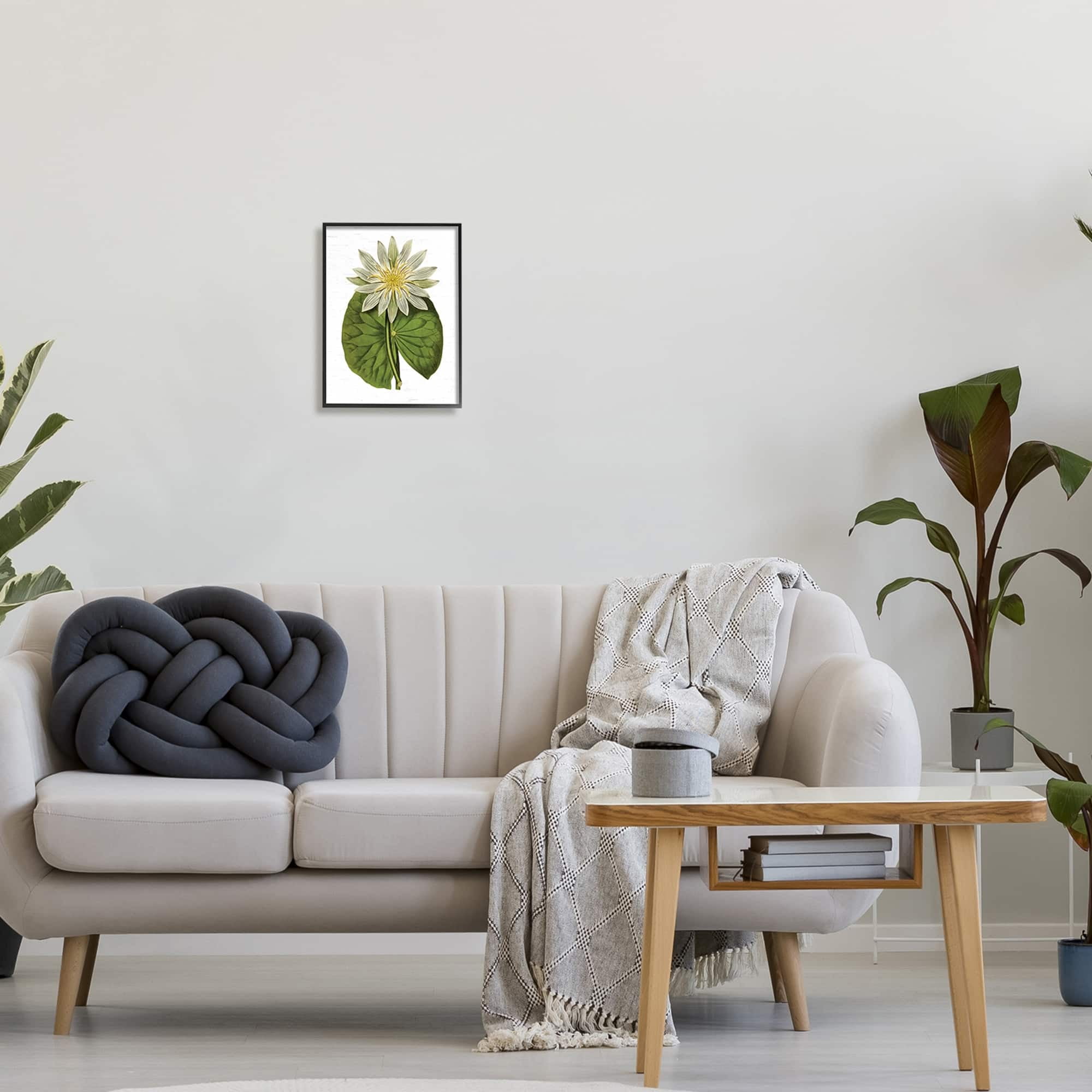 Stupell Industries Vintage Water Lily Floral and Pond Plant Pad,16 x 20, Design by Lettered and Lined