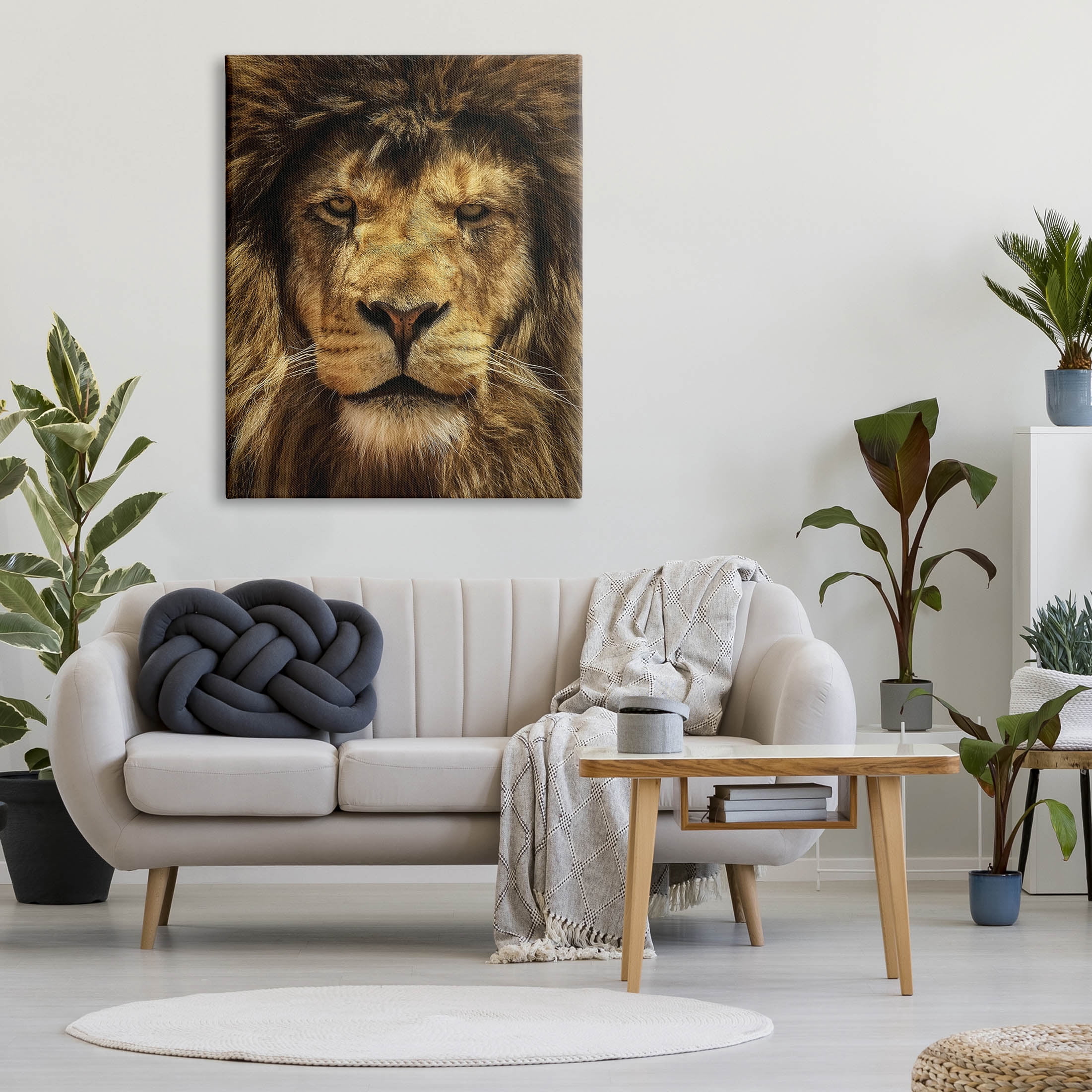 Stupell Industries Close Up Lion Portrait Photograph Gallery Wrapped Canvas Print Wall Art, Design by Carrie Ann Grippo-Pike
