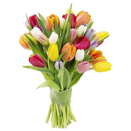KaBloom :Bouquet of 20 Assorted Tulips Without Vase.