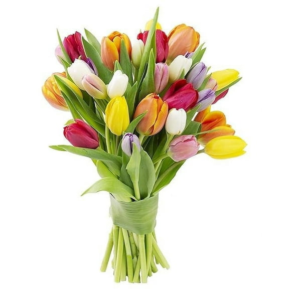 KaBloom :Bouquet of 20 Assorted Tulips Without Vase.