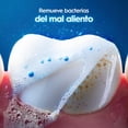 thumbnail image 4 of Pasta Dental Oral-B Protección 100% de tu Boca* Cuidada 50 ml 1 Pieza, 4 of 5