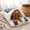 Blue XL, variant on Cat Nap,Washable Warm Winter Pet Sleeping Cave Bed,Fluffy Cat Sleeping Bags,25×19 Inch,Blue L