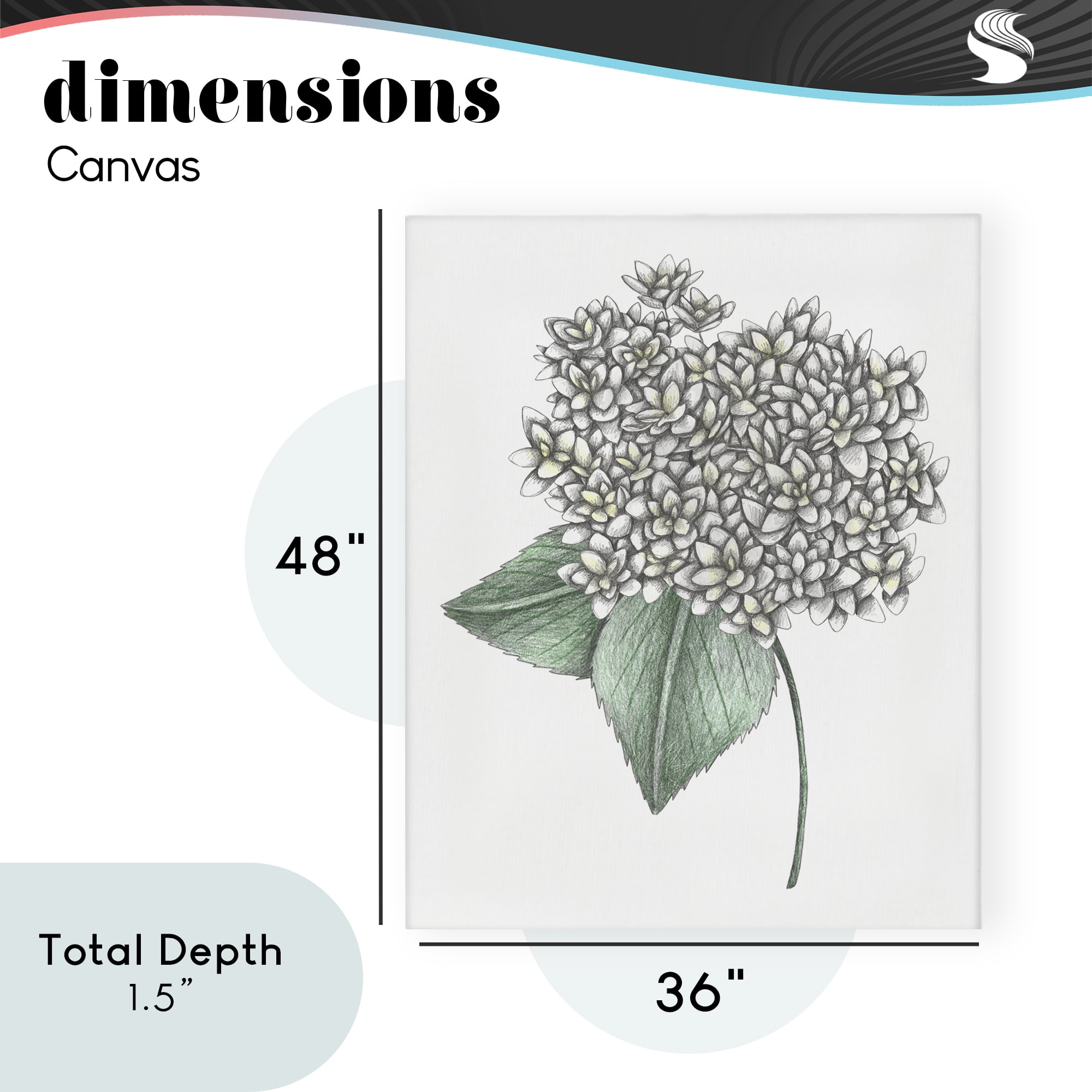 White Hydrangea Sketch Blossom Canvas Wall Art, design by Cecilia Battaini