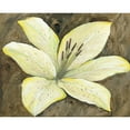 thumbnail image 3 of OToole, Tim 14x12 Black Modern Framed Museum Art Print Titled - Neutral Lily I, 3 of 5