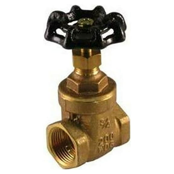 Thrifco 6415002 3/8 Inch IPS Brass Gate Valve