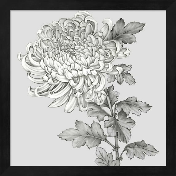 Grey Botanical I by Eva Watts, Framed Wall Art, 13.25W x 13.25H