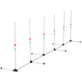 thumbnail image 1 of PawHut Adjustable Dog Agility Training Obstacle Set White, 1 of 9