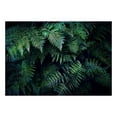 thumbnail image 2 of Tiptophomedecor Landscape Wallpaper Wall Mural - In The Thicket, 2 of 3